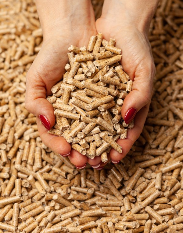 Cours du granulés de bois : prix et choix judicieux en 2025