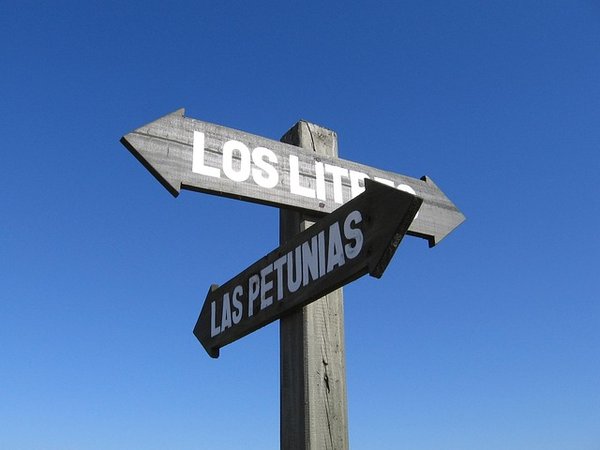 Signalétique en bois : un style unique pour chaque espace